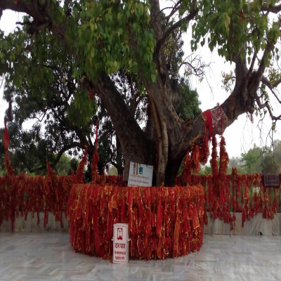 Spring Festival Places to See